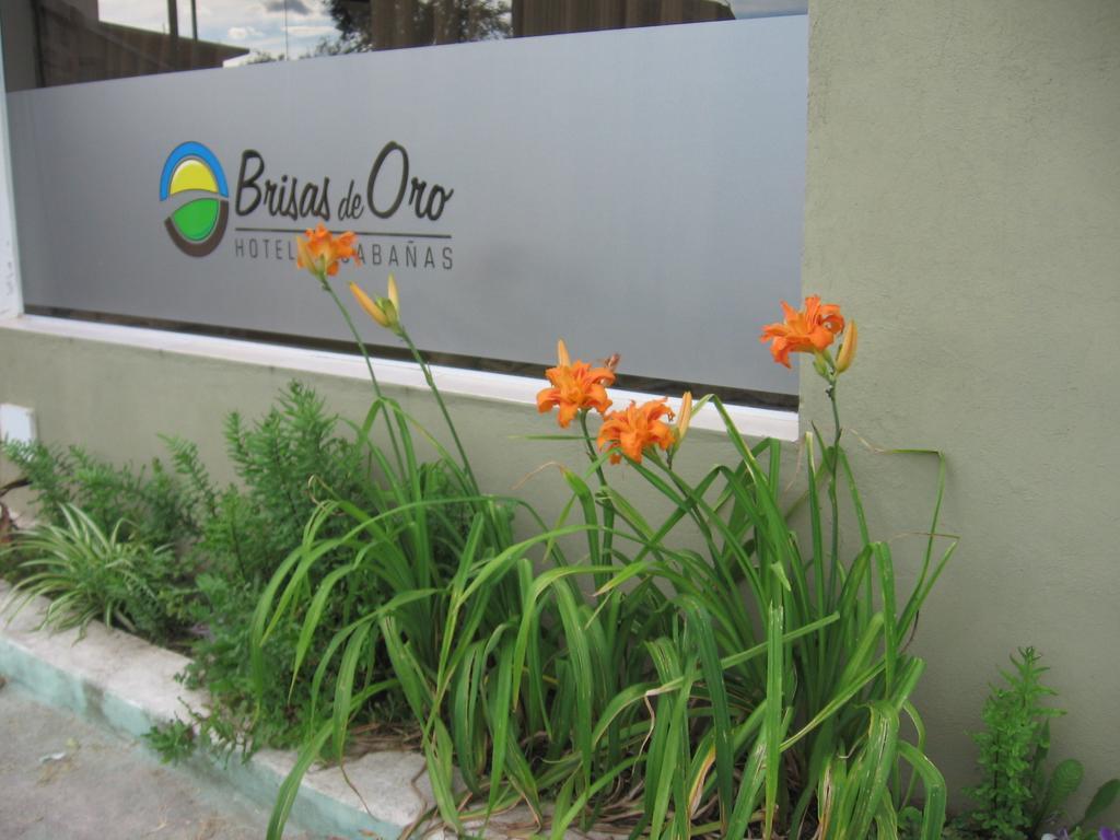 Lodge Brisas De Oro *